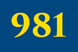 What is 981?