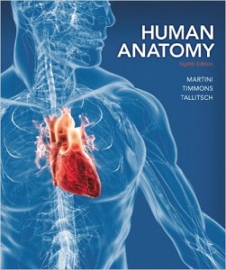 Anatomy text